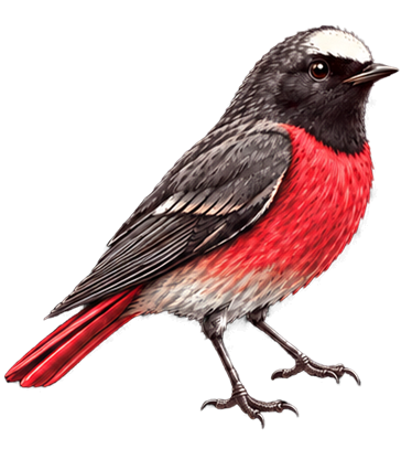 Vogel mit leuchtend roter Brust – das Future-Electronica-Motiv